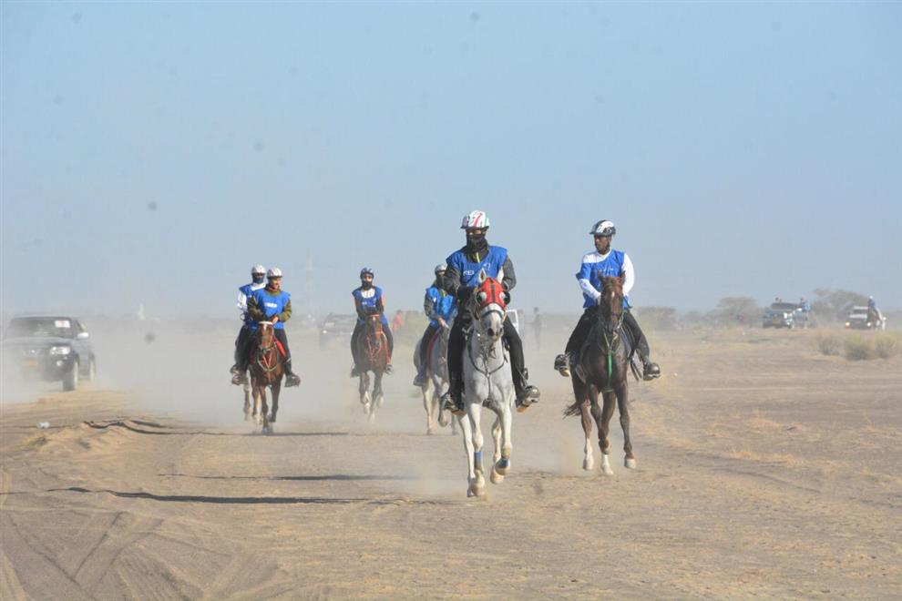 الحصان "سهيل دي فناون" يتوّج بلقب مسابقة القدرة والتحمل لمسافة 100كم للعموم